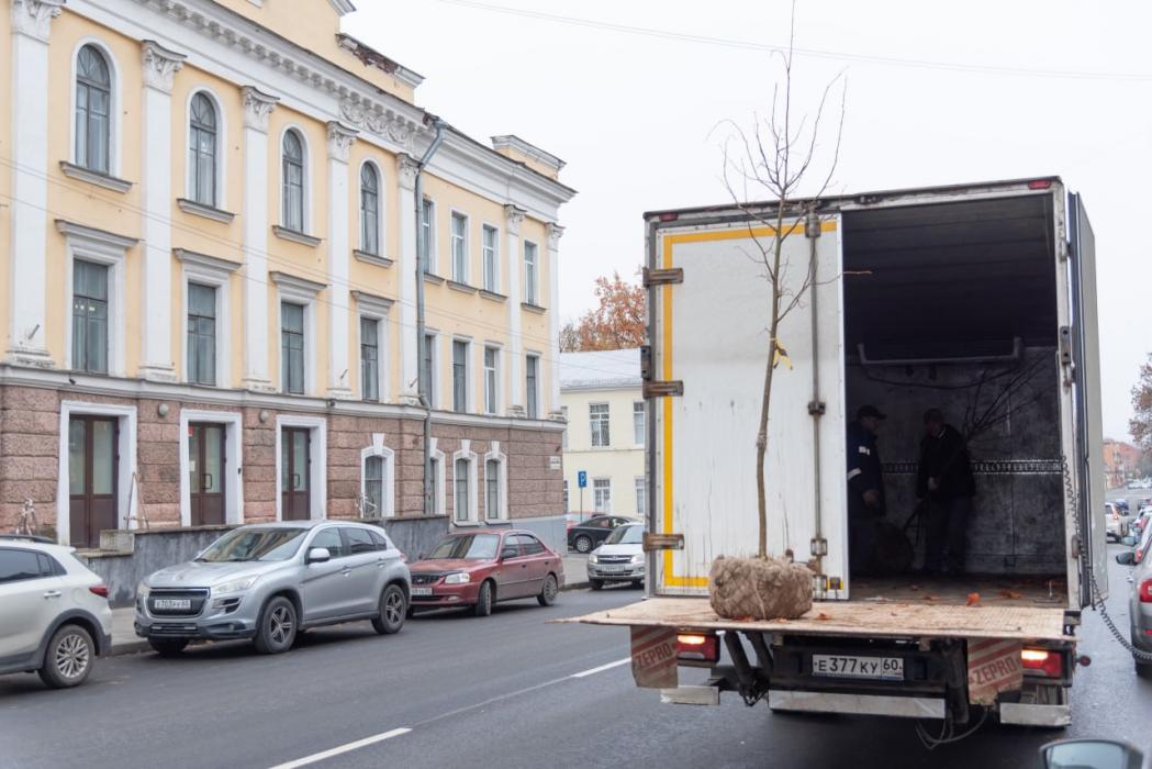 Зелёный вклад. Сбер посадил деревья в центре древнего Пскова