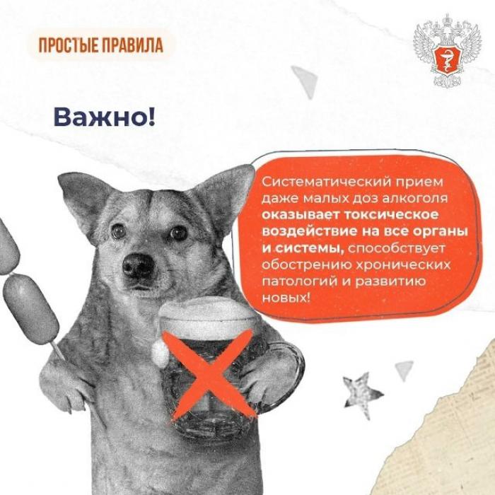 Правда о «безвредной» дозе алкоголя