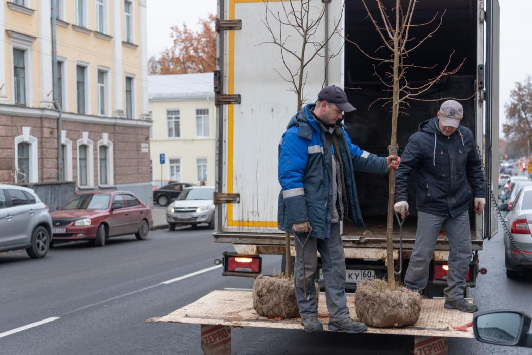 Зелёный вклад. Сбер посадил деревья в центре древнего Пскова