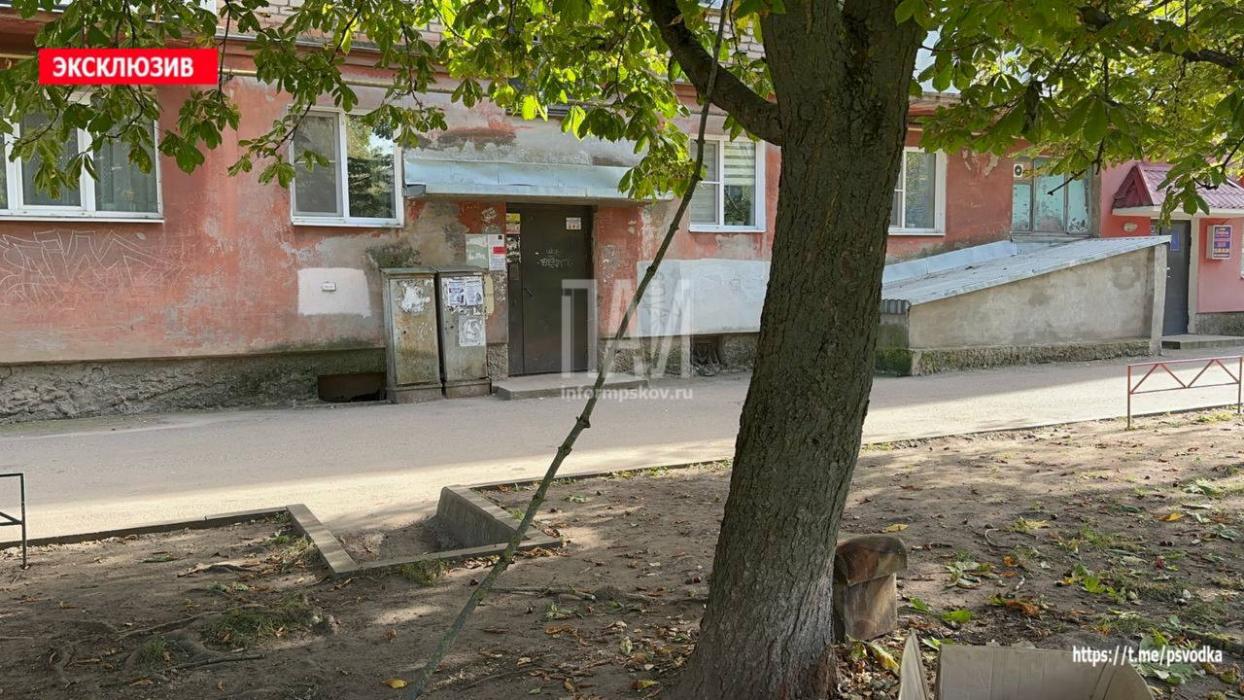 Мальчик сломал ногу, упав с дерева в Великих Луках