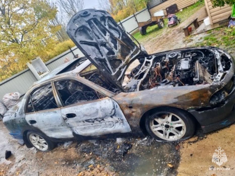 Шесть пожаров ликвидировали в Псковской области за выходные