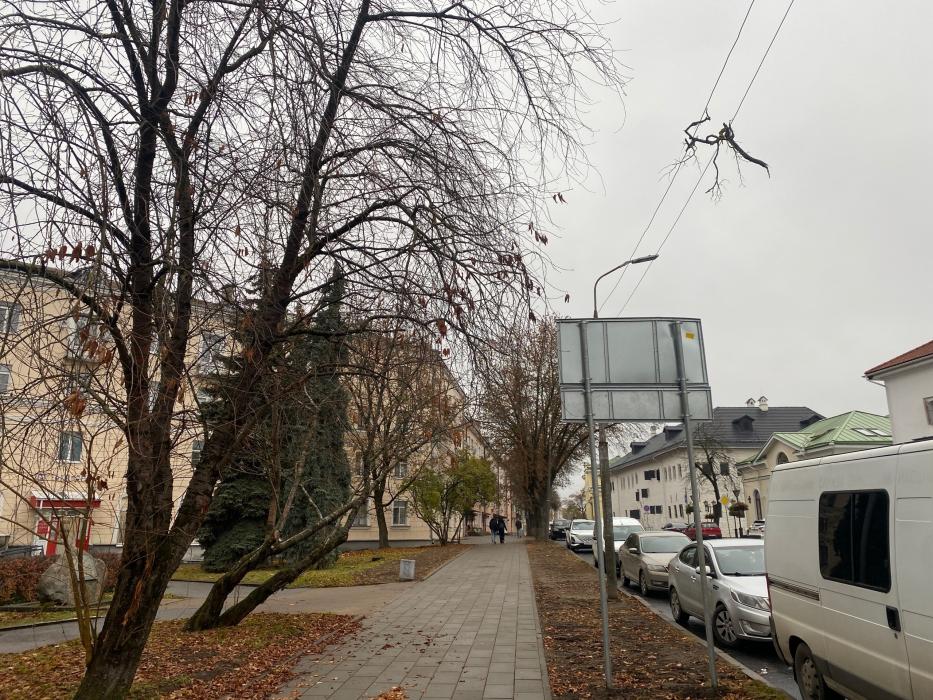 Ремонт улицы Некрасова в Пскове оценил губернатор