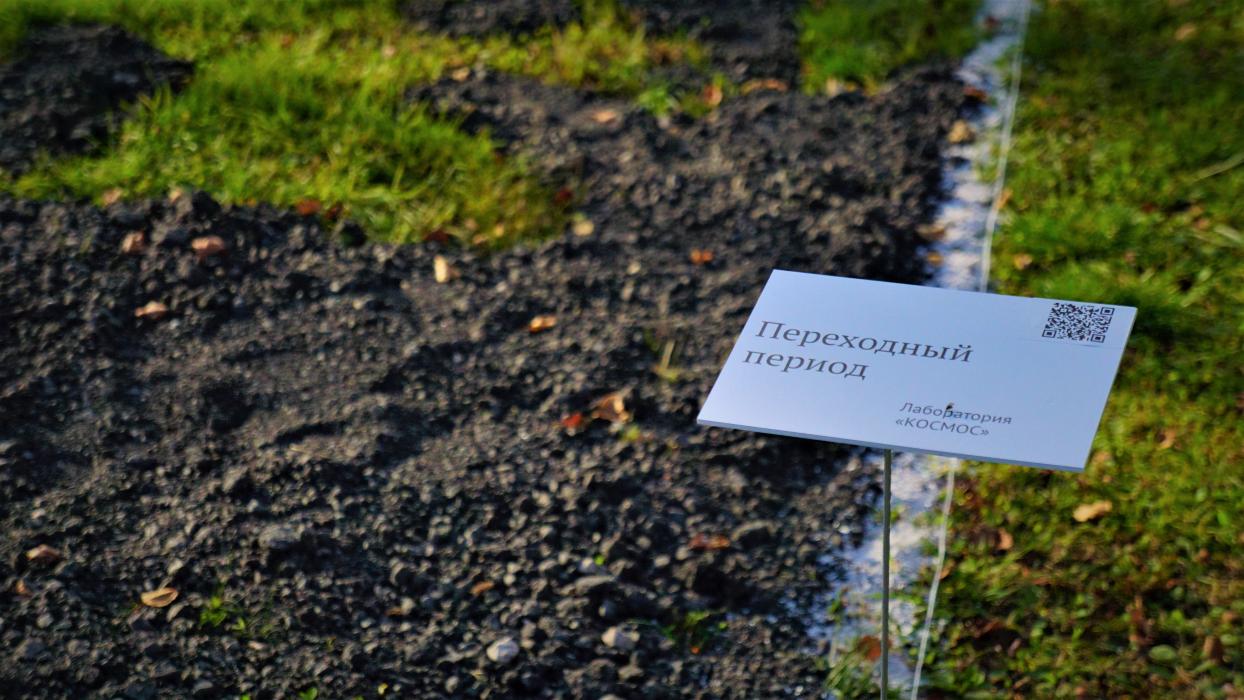 Арт-парк «Тропы» в Пушкиногорском районе