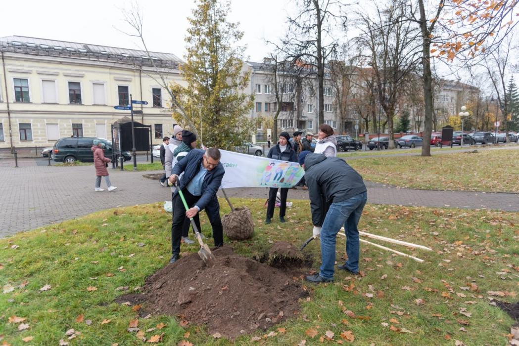 Зелёный вклад. Сбер посадил деревья в центре древнего Пскова