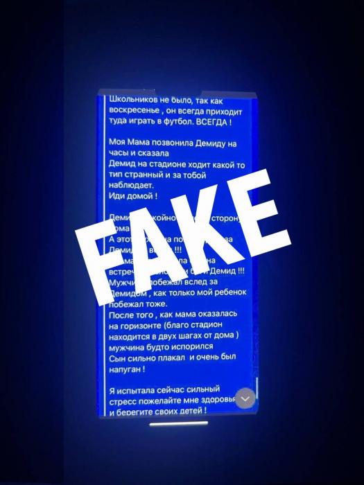 В МВД опровергли фейк о незнакомцах, преследующих детей на улицах Пскова