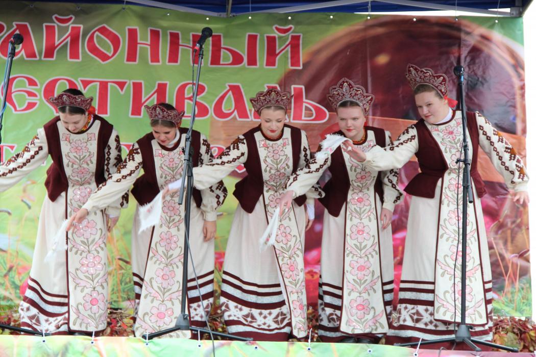 Фестиваль клюквы прошёл в Пыталово