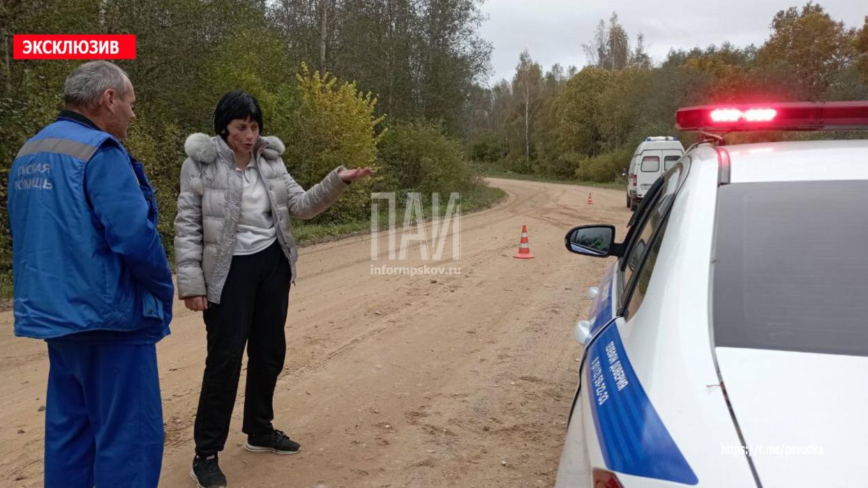 Пьяный водитель устроил ДТП в Невельском районе