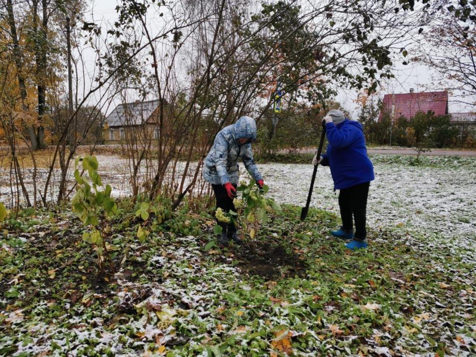 Послевоенный парк благоустроили в Красногородском районе благодаря ТОС