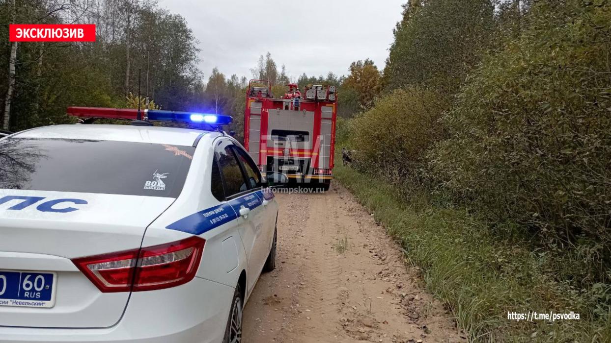 Пьяный водитель устроил ДТП в Невельском районе