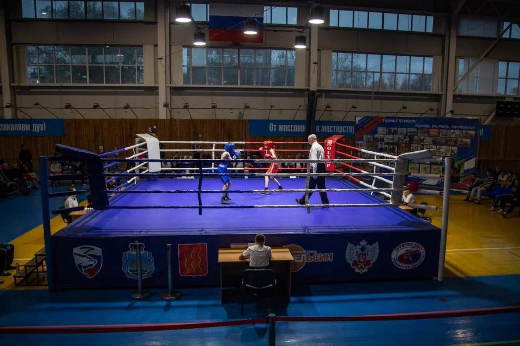 Турнир по боксу памяти Клевцова стартовал в Великих Луках 