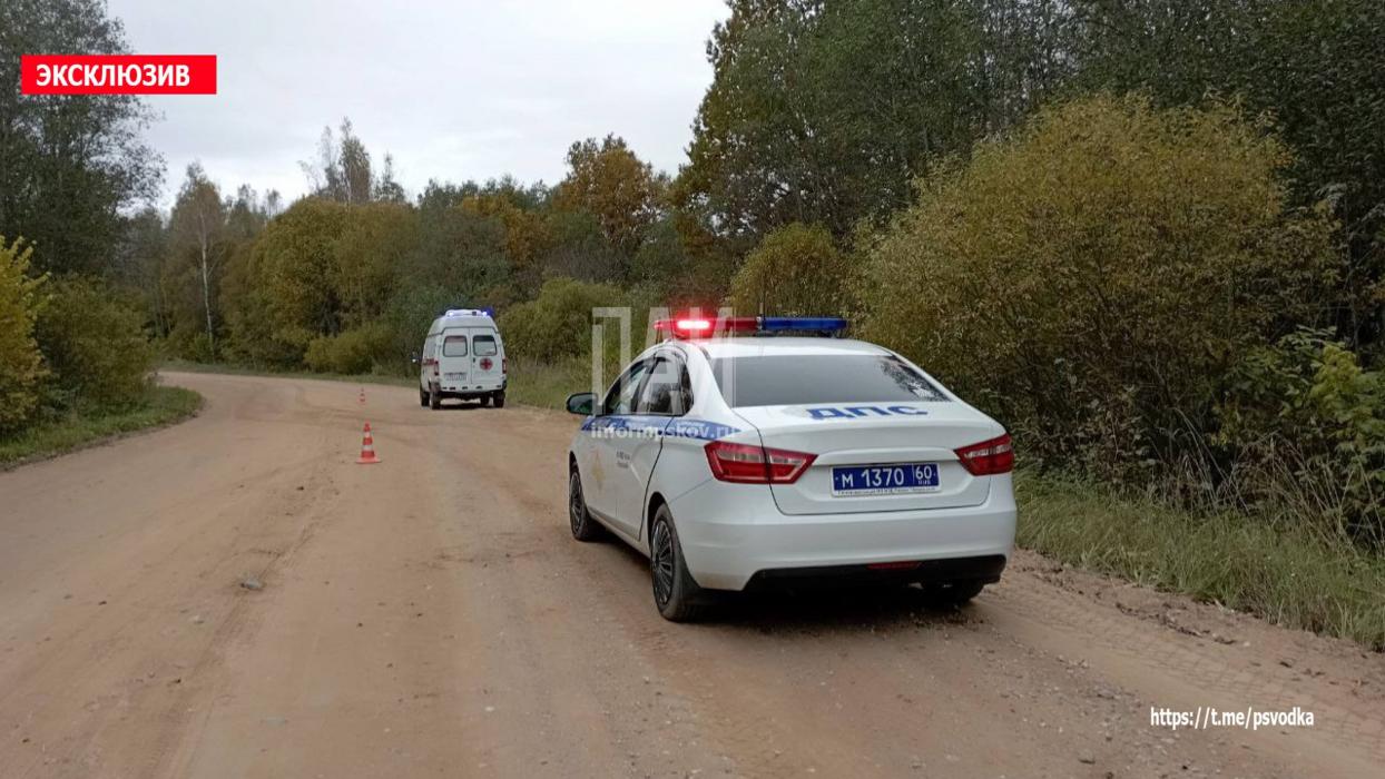 Пьяный водитель устроил ДТП в Невельском районе