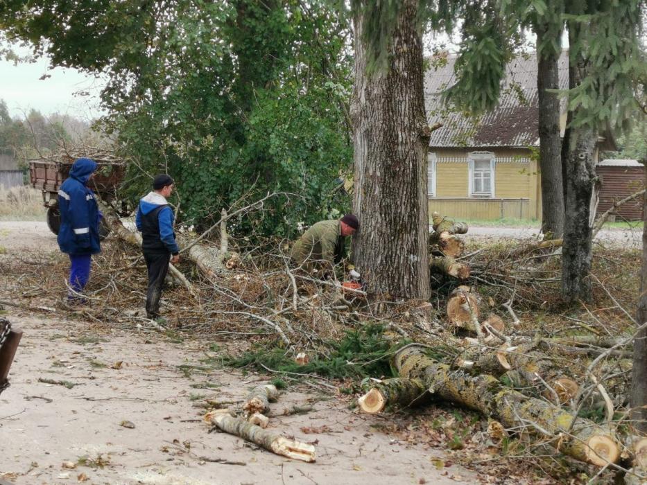 Послевоенный парк благоустроили в Красногородском районе благодаря ТОС