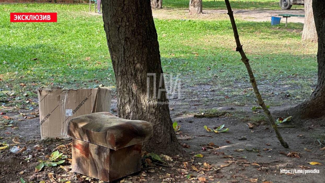 Мальчик сломал ногу, упав с дерева в Великих Луках