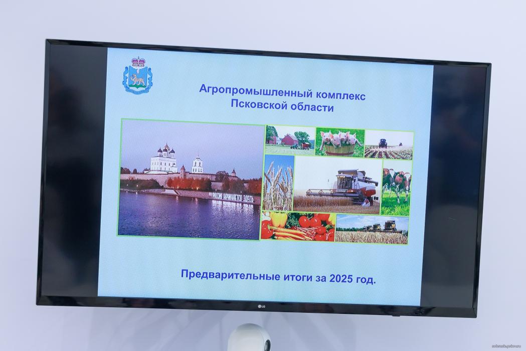 Депутаты, члены Молодёжного парламента и сотрудники аппарата Собрания ответили на вопросы агродиктанта
