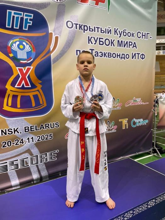 24 медали завоевали псковичи на Кубке мира по тхэквондо 