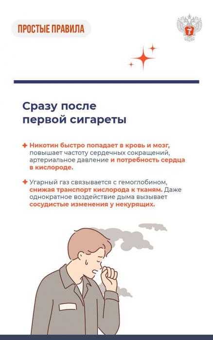 Как курение разрушает организм