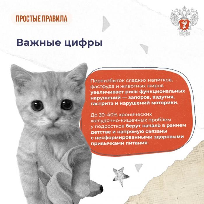 Правила питания для детей