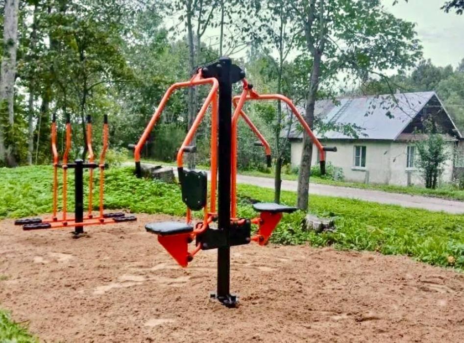 Проекты создания условий для занятия спортом и коллективного отдыха реализовали ТОС Псковского района