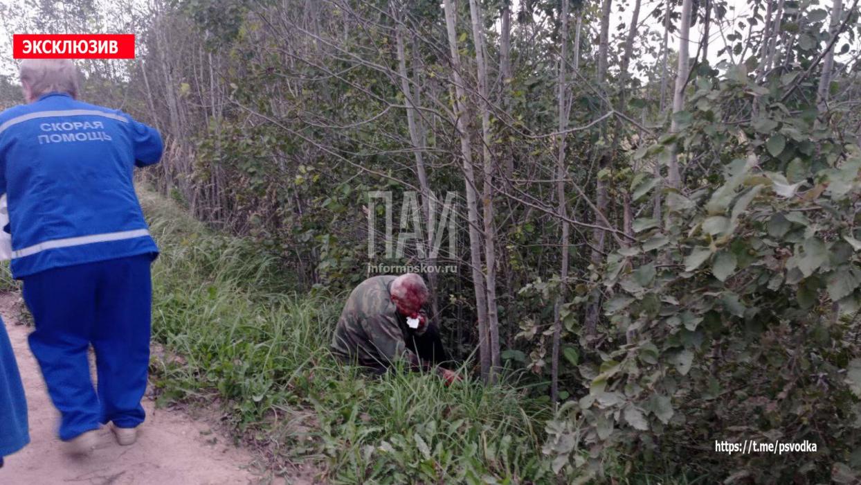  ДТП в Красногородском районе
