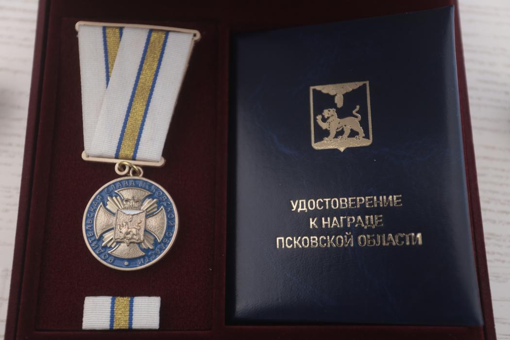 Награждение многодетных семей региона 