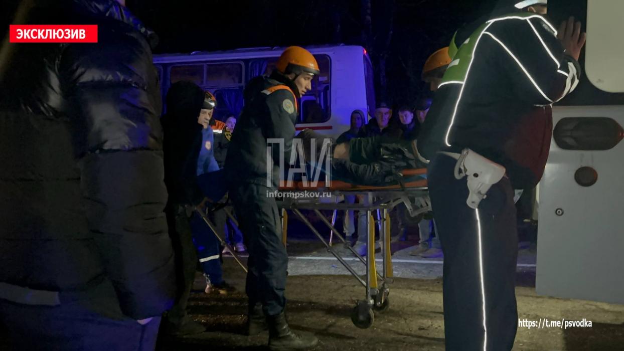 Автобус и легковой автомобиль столкнулись в Великолукском районе