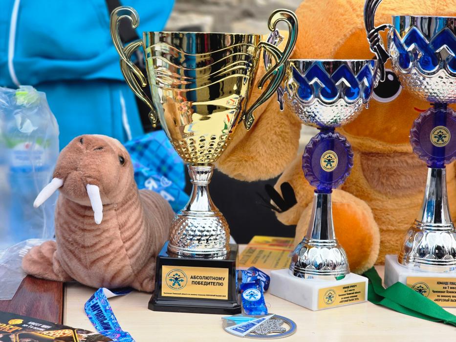 Подведены итоги чемпионата и первенства Псковской области по зимнему плаванию 