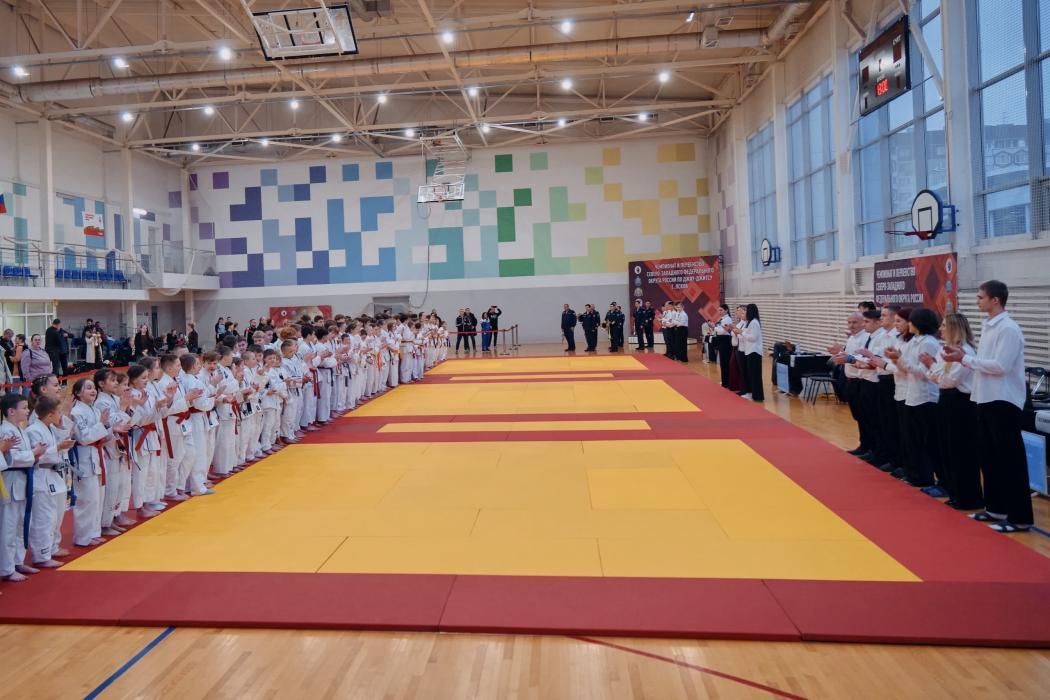 Сборная Псковской области выиграла чемпионат и первенство СЗФО по джиу-джитсу 