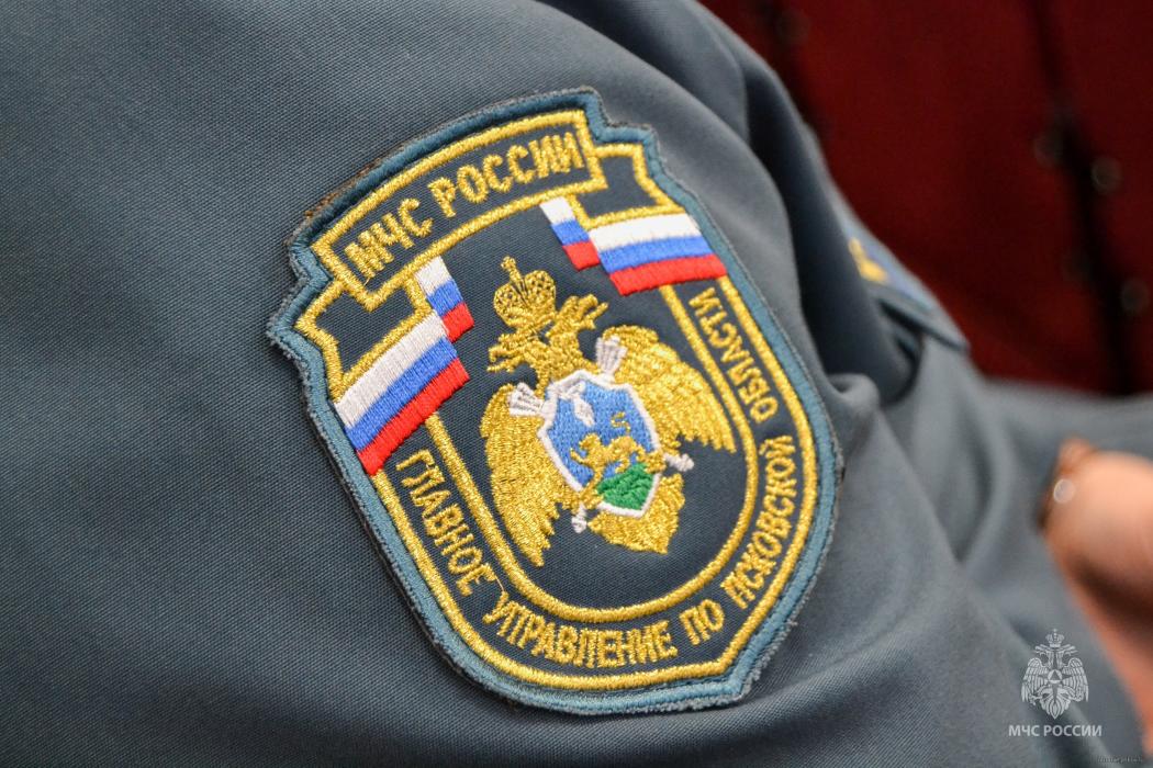 Благодарности областного Собрания вручили добровольцам, участвующим в спасении людей