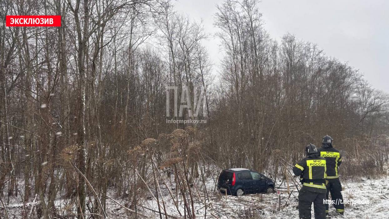 ДТП в Дедовичском районе 