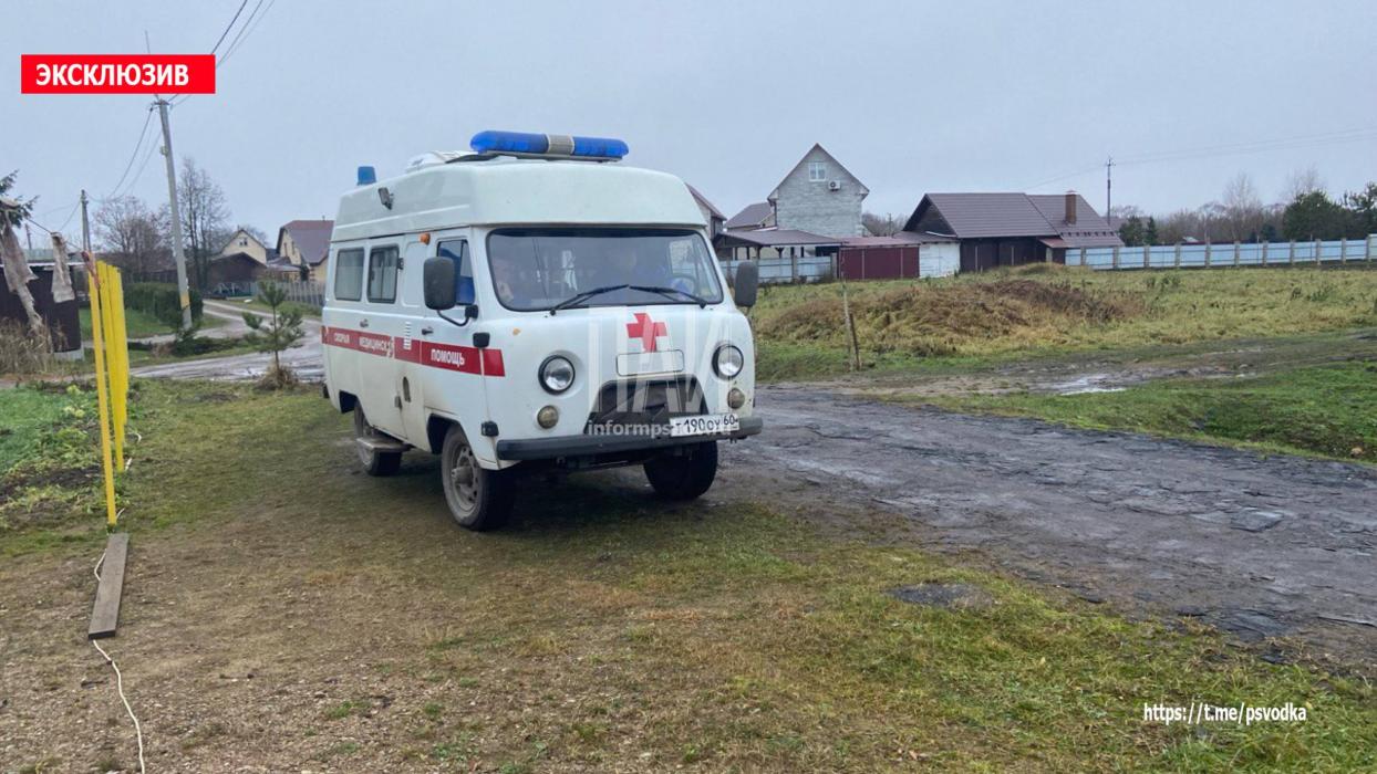 Пожар в Великолукском районе 