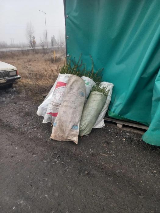 Новогодний гуманитарный груз бойцам СВО доставили из Дедовичей