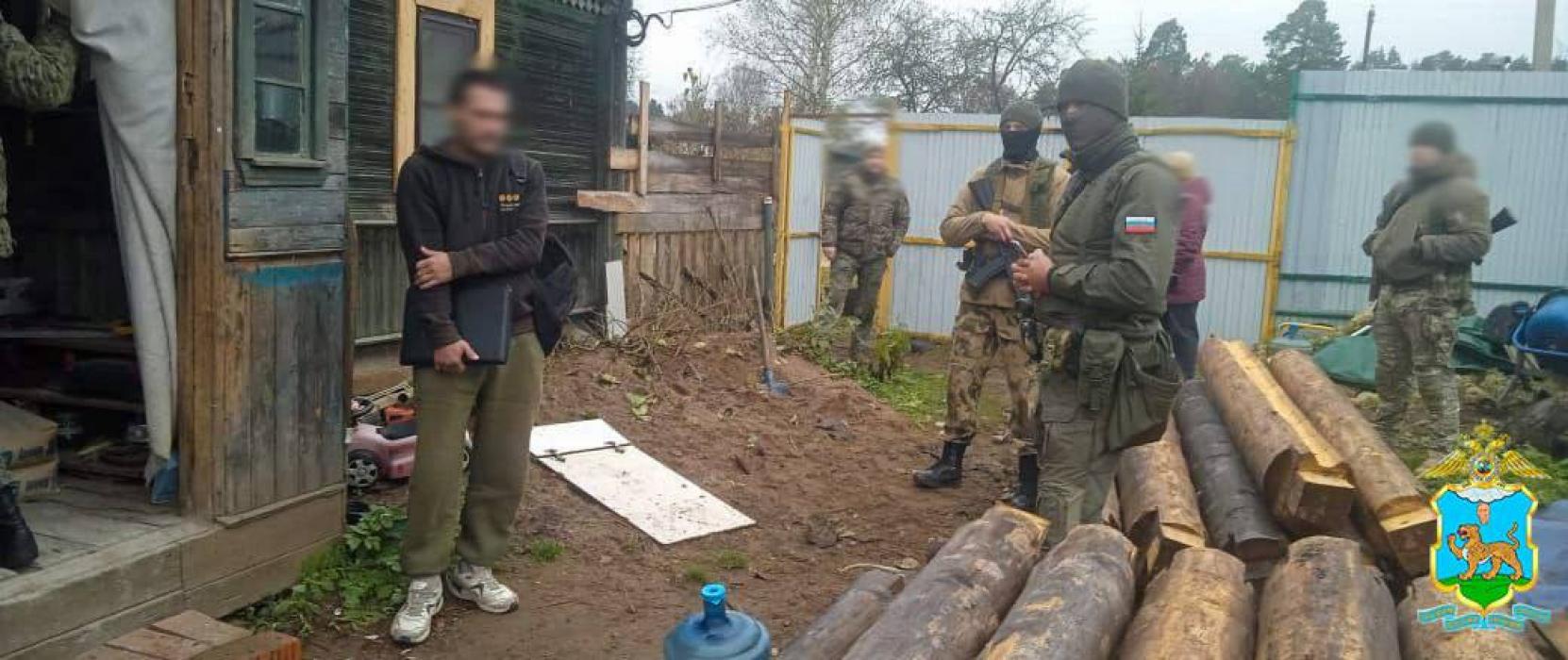 В Псковской области пресекли выращивание наркотических растений