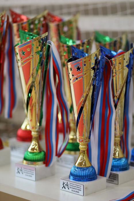 Областные чемпионат и первенство по карате WKF прошли в Пскове