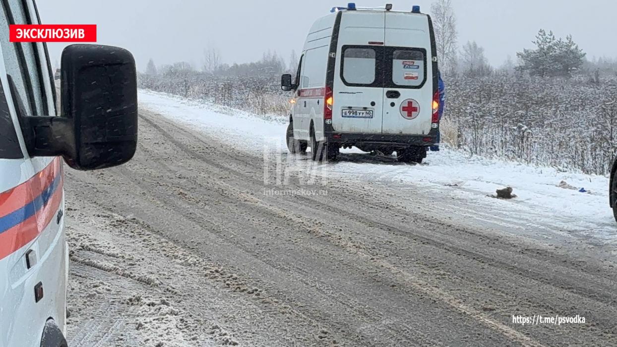 Автомобиль вылетел в кювет в Псковской районе, есть пострадавшие