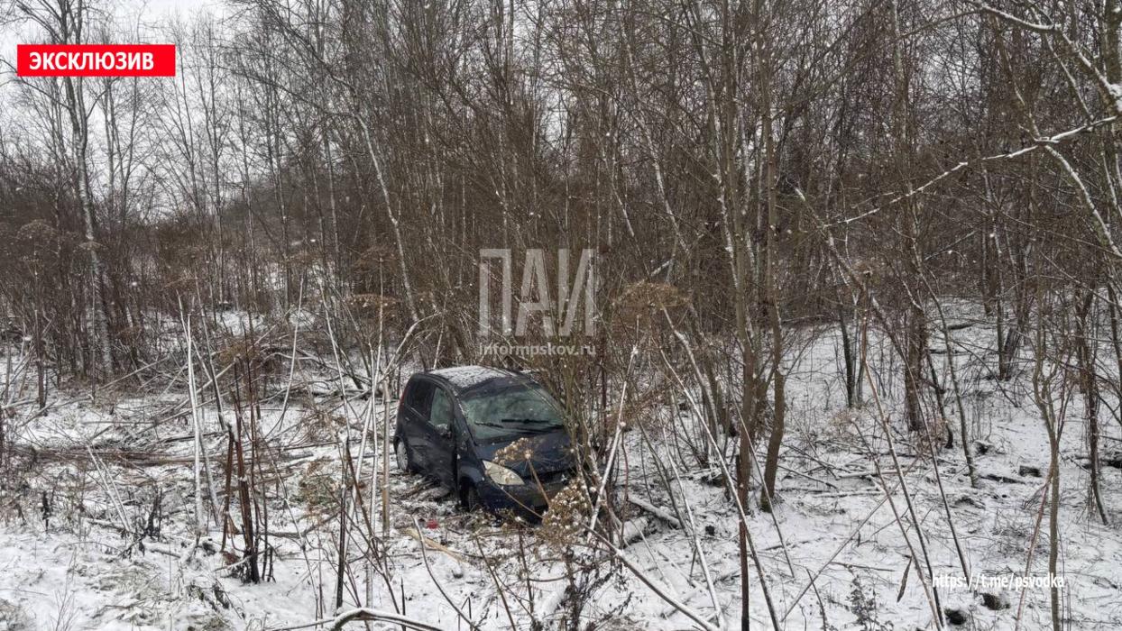 ДТП в Дедовичском районе 