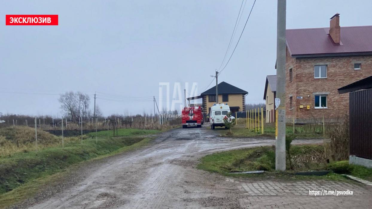 Пожар в Великолукском районе 