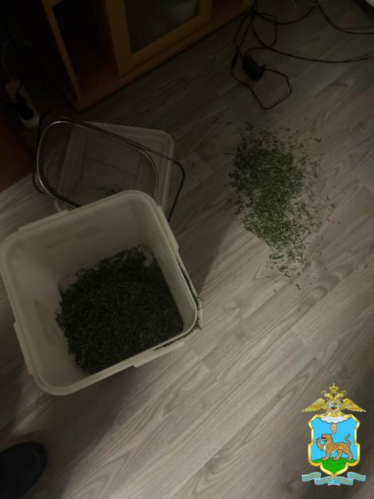 Обыск дома подозреваемого 