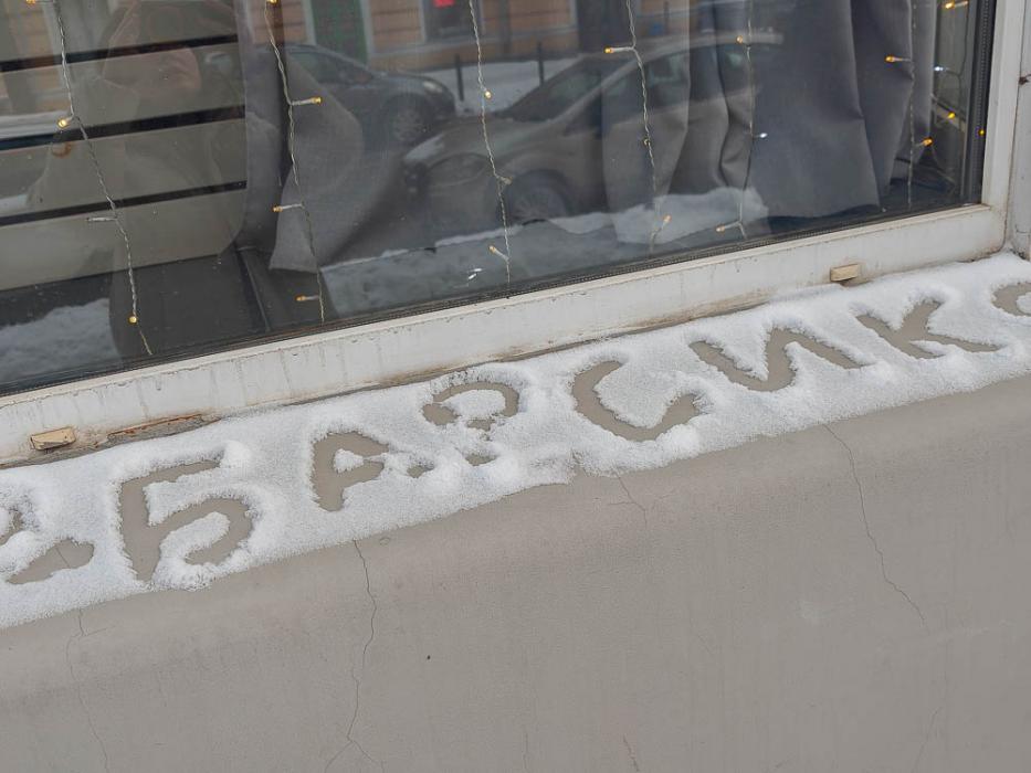 Барсики в центре Пскова