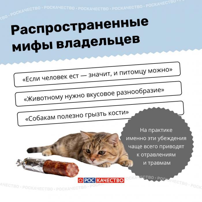 Чем нельзя угощать животных: список опасных продуктов