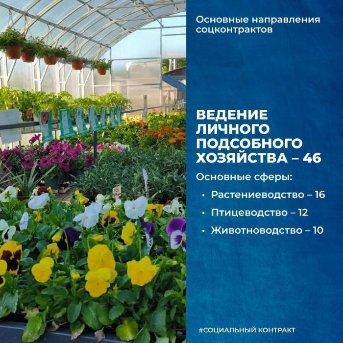 Итоги 2025 года