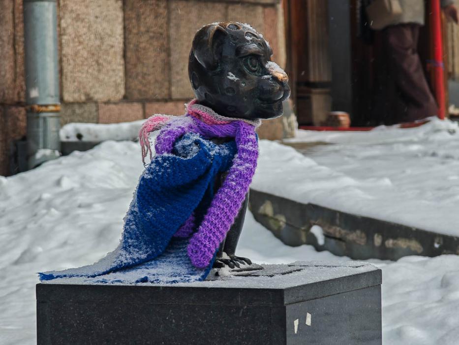 Барсики в центре Пскова