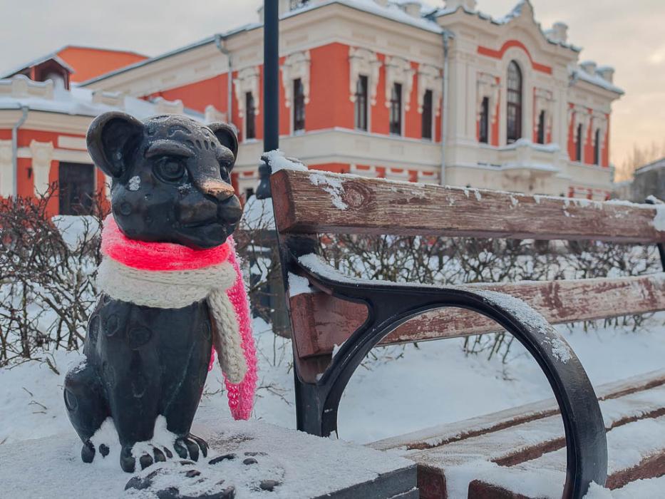 Барсики в центре Пскова