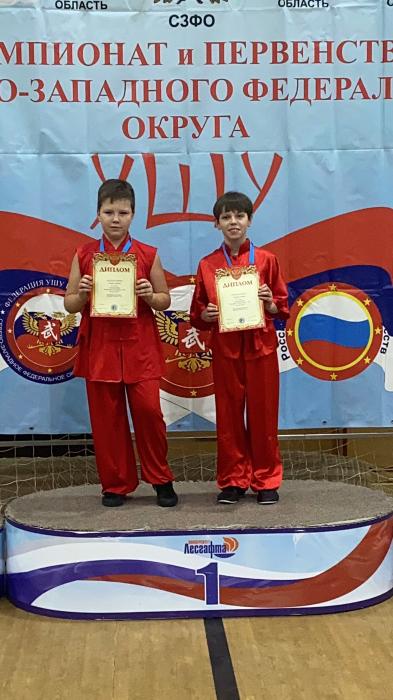 19 медалей завоевали псковичи на чемпионате и первенстве СЗФО по ушу