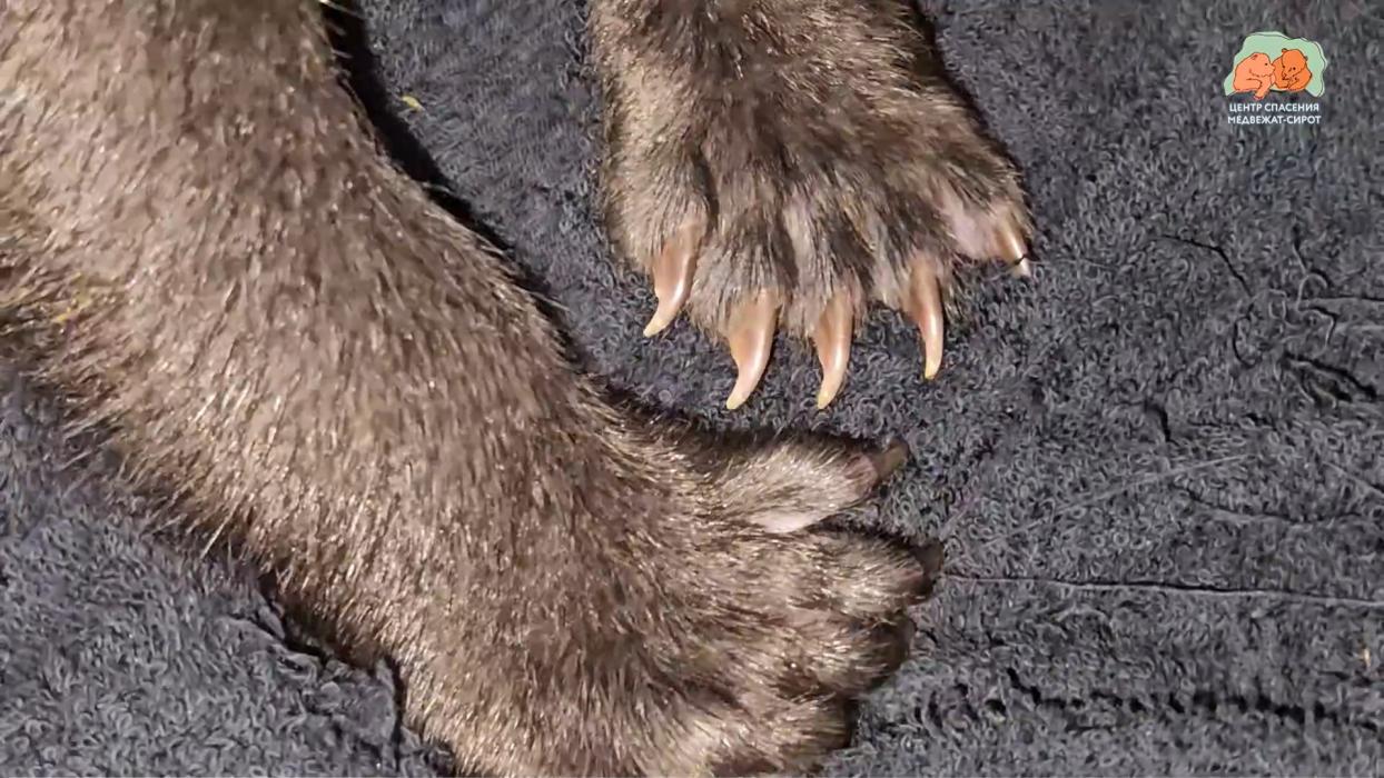 Кормление малышей