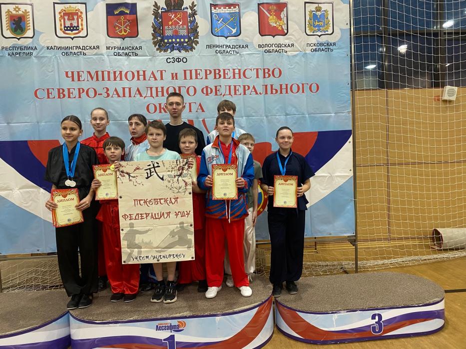 19 медалей завоевали псковичи на чемпионате и первенстве СЗФО по ушу