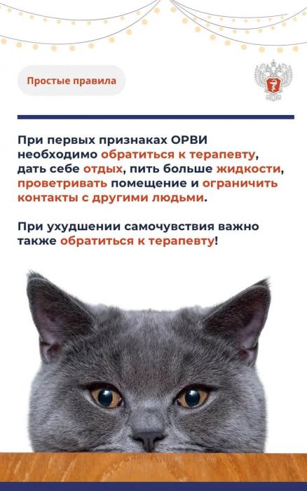 Эксперты: мужчины могут переносить ОРВИ тяжелее