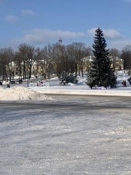 Последствия двух снежных циклонов продолжают ликвидировать в Островском округе