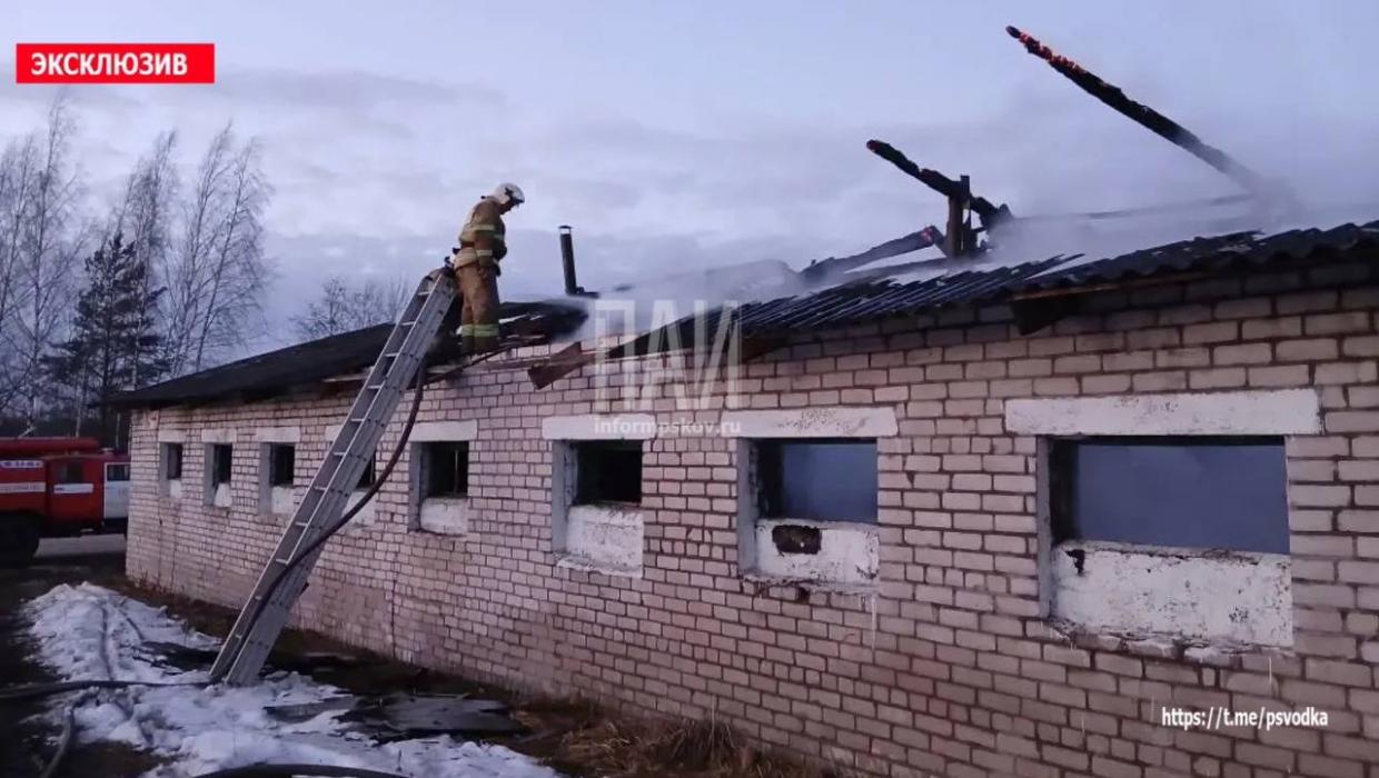 Скотник горел в Красногородском районе