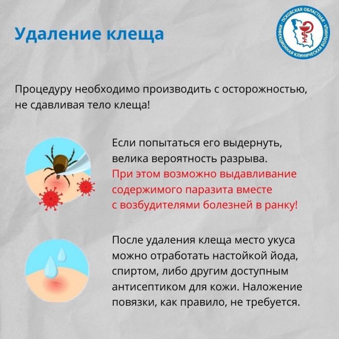 Что делать при укусе клеща