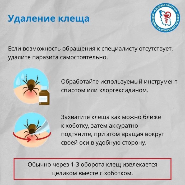 Что делать при укусе клеща